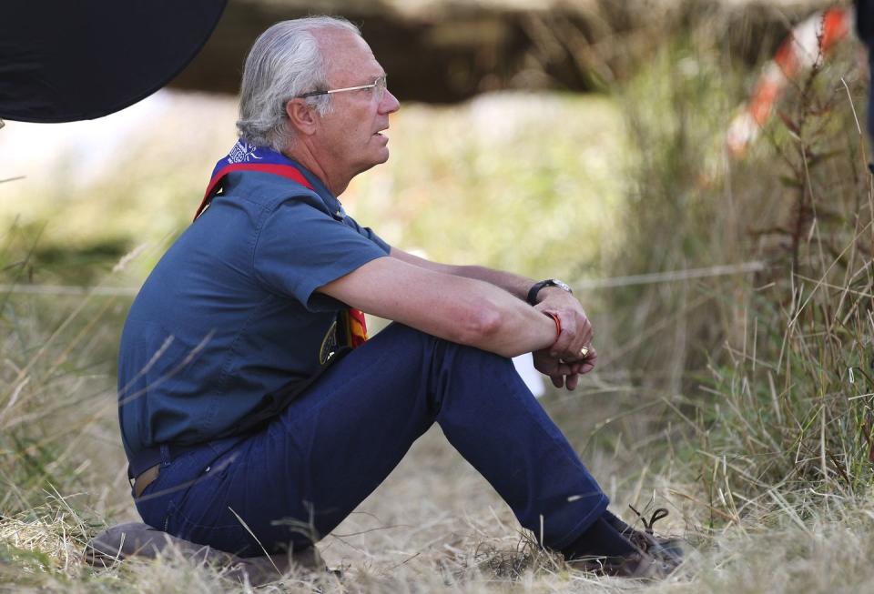 king of sweden meets scouts participating in world scout jamboree