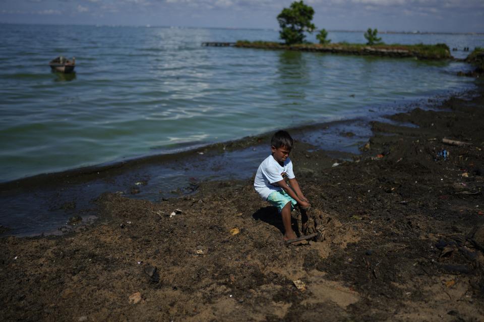 A boy tugs at a piece of garbage embedded along the shore of Lake Maracaibo as part of a cleaning campaign, in Santa Rita, Venezuela, Friday, Aug. 11, 2023. The pollution around the lake, one of Latin America's largest, is the result of decades of excessive oil exploitation on its bed, inadequate maintenance, and a lack of investment to improve an already obsolete infrastructure, according to environmentalists. (AP Photo/Ariana Cubillos)