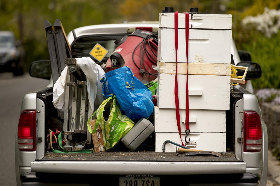 Various tools and bee boxes are visible in the truck of beekeepers Sean Kennedy and Erin Gleeson as they inspect a swarm of honey bees, Saturday, April 25, 2020, in Washington. The District of Columbia has declared beekeepers as essential workers during the coronavirus outbreak. If the swarm isn’t collected by a beekeeper, the new hive can come to settle in residential backyards, attics, crawlspaces, or other potentially ruinous areas, creating a stinging, scary nuisance. (AP Photo/Andrew Harnik)