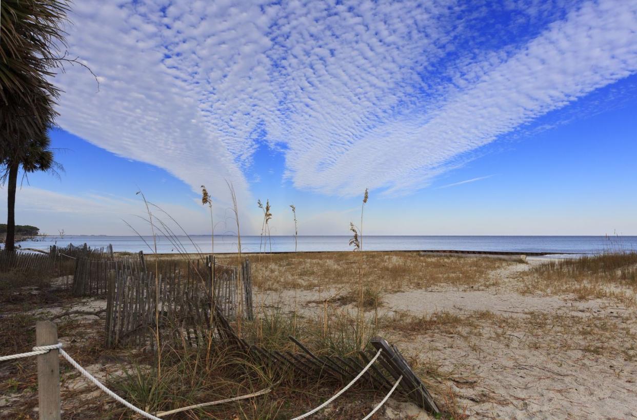 dunes and vegetation at hunting island state park