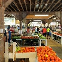 The Agricenter Farmers Market in Memphis, TN.