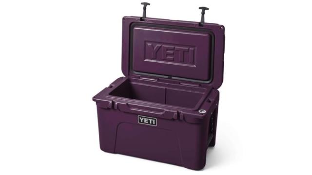 YETI Rambler 10 oz Nordic Purple BPA Free Tumbler with MagSlider Lid - Ace  Hardware