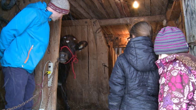 Bathurst family pledge to go all winter without buying groceries