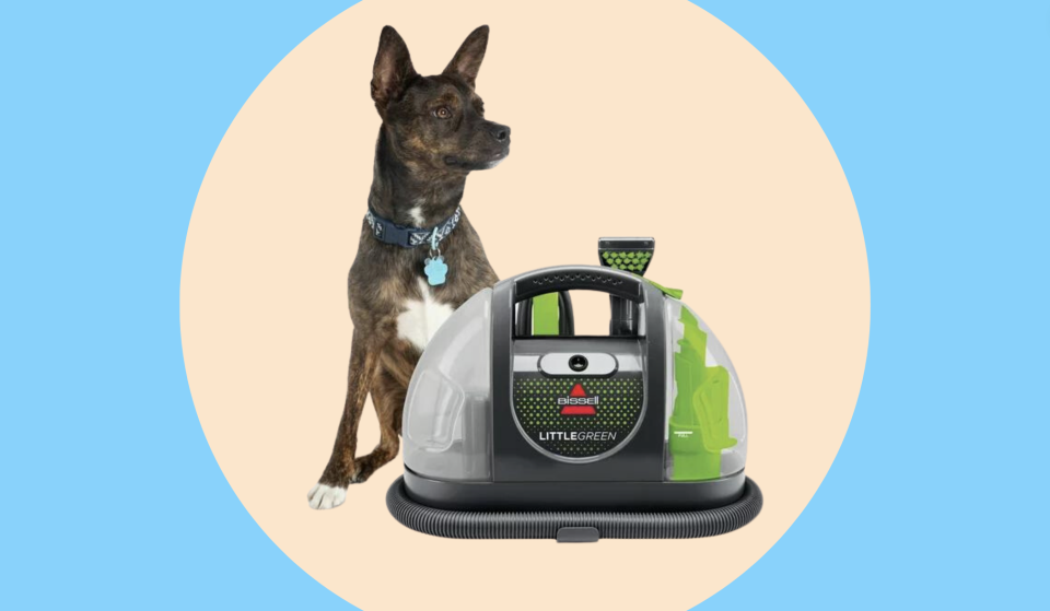 dog next to a little green carpet cleaner