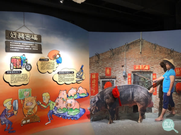 台灣的豬隻育種從過去牽豬哥的形式，漸漸被人工授精等科技育種技術所取代。（圖片來源：攝於良作工場農業文創館）