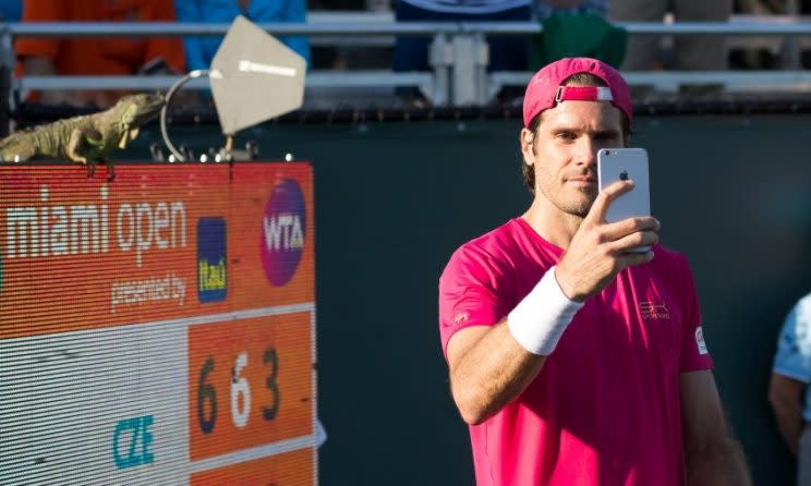 Tommy Haas bei seinem Schnappschuss mit Leguan Iggy im Hintergrund (Foto: Getty Images)