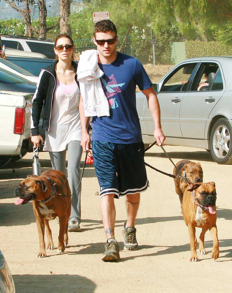 Biel Timberlake Walks Dogs