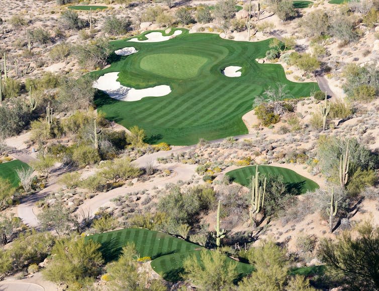 An aerial view of a golf green surrounded by desert habitat.