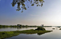 Floating islands of water hyacinth break the seamless continuity of this glassy lake.