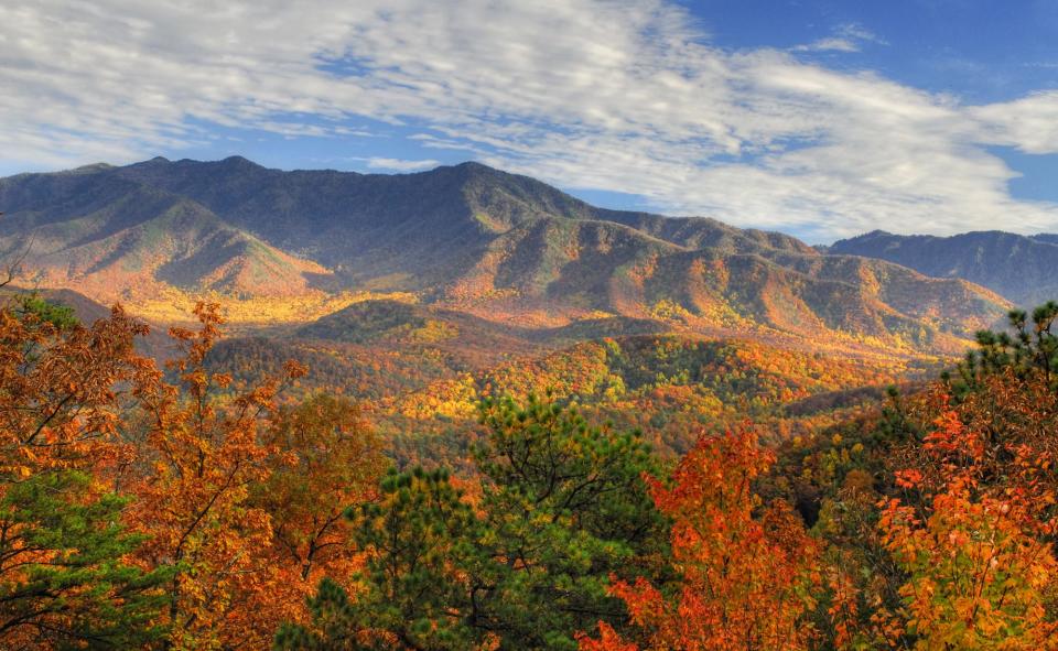 Great Smoky Mountains Railroad