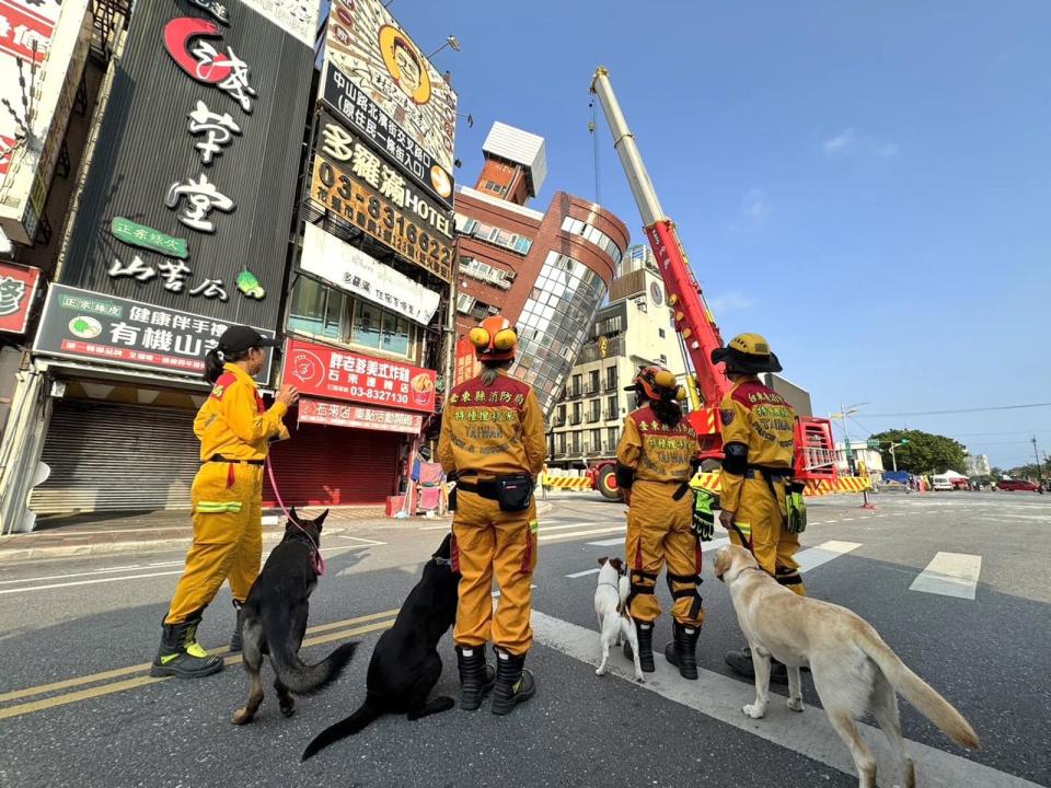 台東搜救犬也前往花蓮花王星大廈出任務。（翻攝自臺東犬壘打-臺東縣消防局搜救犬臉書）