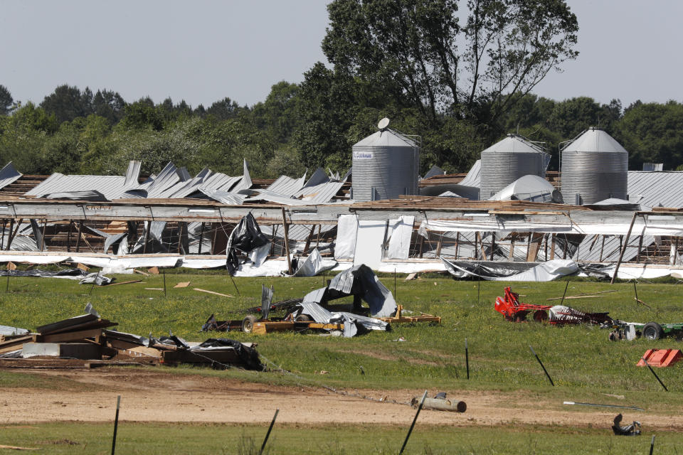 Sunday's tornado that hit Jefferson Davis County, Miss., destroyed or heavily damaged at least 100 buildings including these chicken houses photographed Tuesday, April 14, 2020 in the Williamsburg community of the rural county. (AP Photo/Rogelio V. Solis)