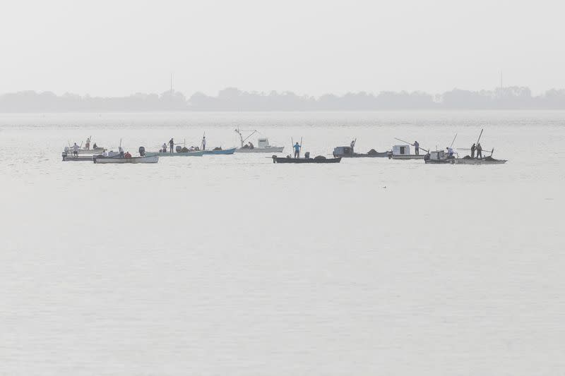 Oysters Boats are clustered together as they harvest oysters in Apalachicola Bay