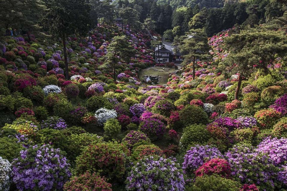 鹽船觀音寺（Photo by John S Lander/LightRocket, Image Source : Getty Editorial）