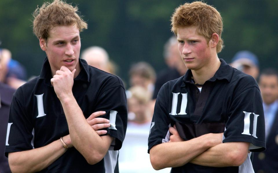 Prince William and Prince Harry