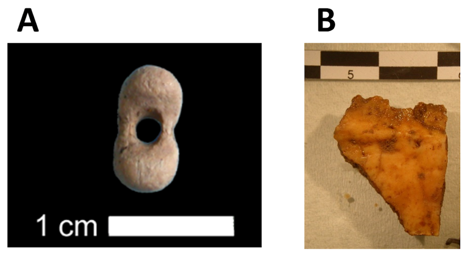 (A) Perle percée en ivoire de mammouth découverte dans la couche du (B) fragment d’os analysé dans l’étude actuelle. L. Crépin/E.-M. Geigl, Fourni par l'auteur