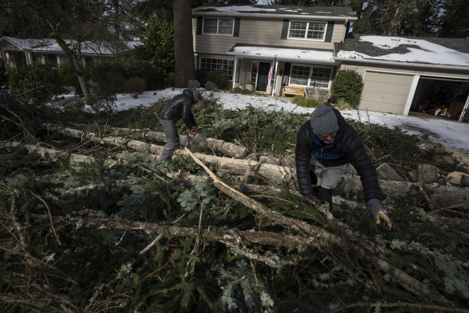 Justin Brooks, left, and Marc Reich, work on clearing trees that fell around Brooks' home on Tuesday, Jan. 16, 2024, in Lake Oswego, Ore. (AP Photo/Jenny Kane)