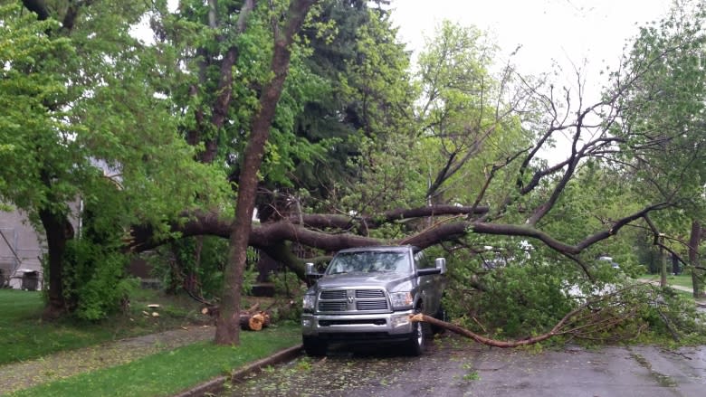 River valley trail system open following Wednesday's storm