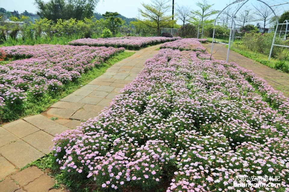 淡水紫藤咖啡園二店水源園區