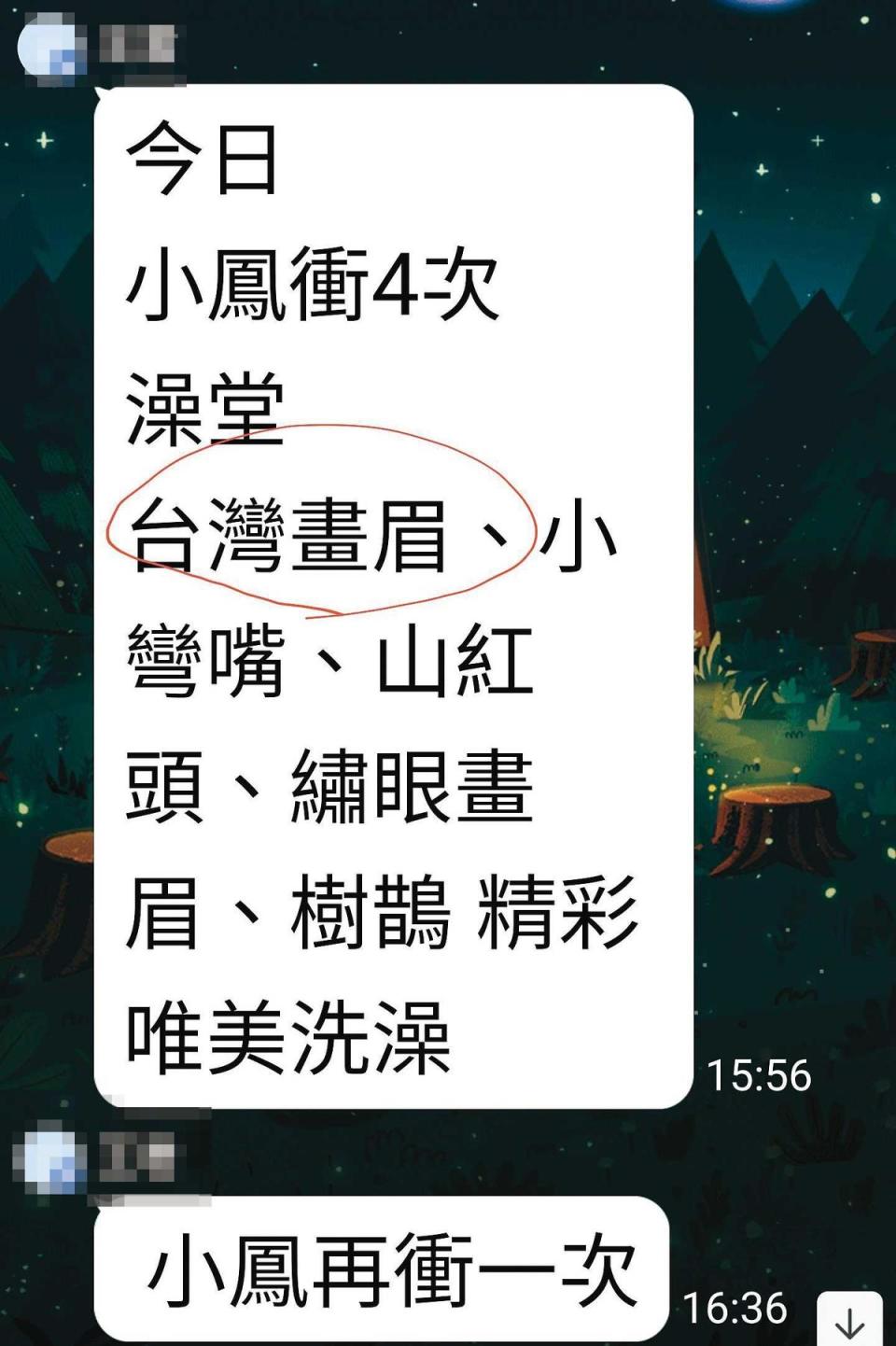 業者透過LINE群組攬客，定期發布新鳥入籠、鳥類交配、育雛等鳥況，吸引鳥客上門。（動社提供）