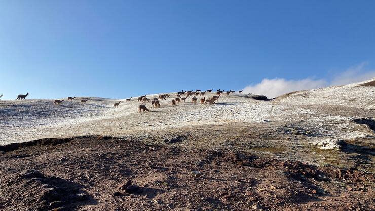 Diese Andenidylle endet abrupt, wenn man nach Cerro de Pasco kommt. Foto: dpa