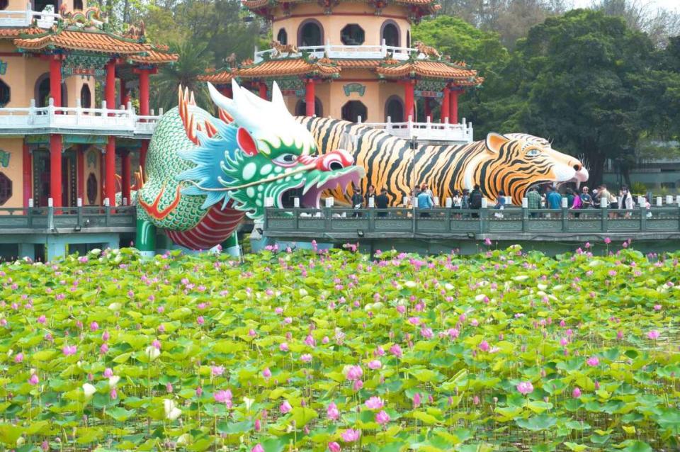 （圖片來源：高雄旅遊網）