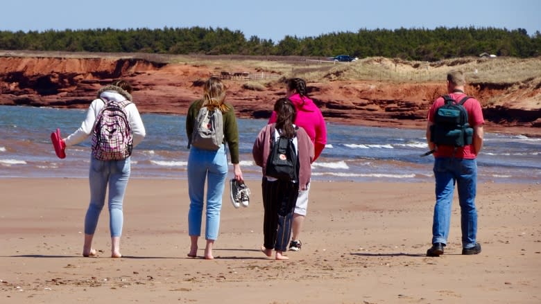 Why P.E.I. isn't testing the water-quality at provincial beaches this summer