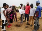 The Wider Image: Senegalese plant circular gardens in Green Wall defence against desert