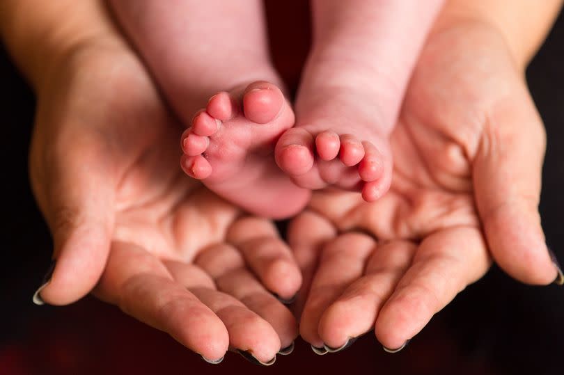 mother holding the feet of her baby