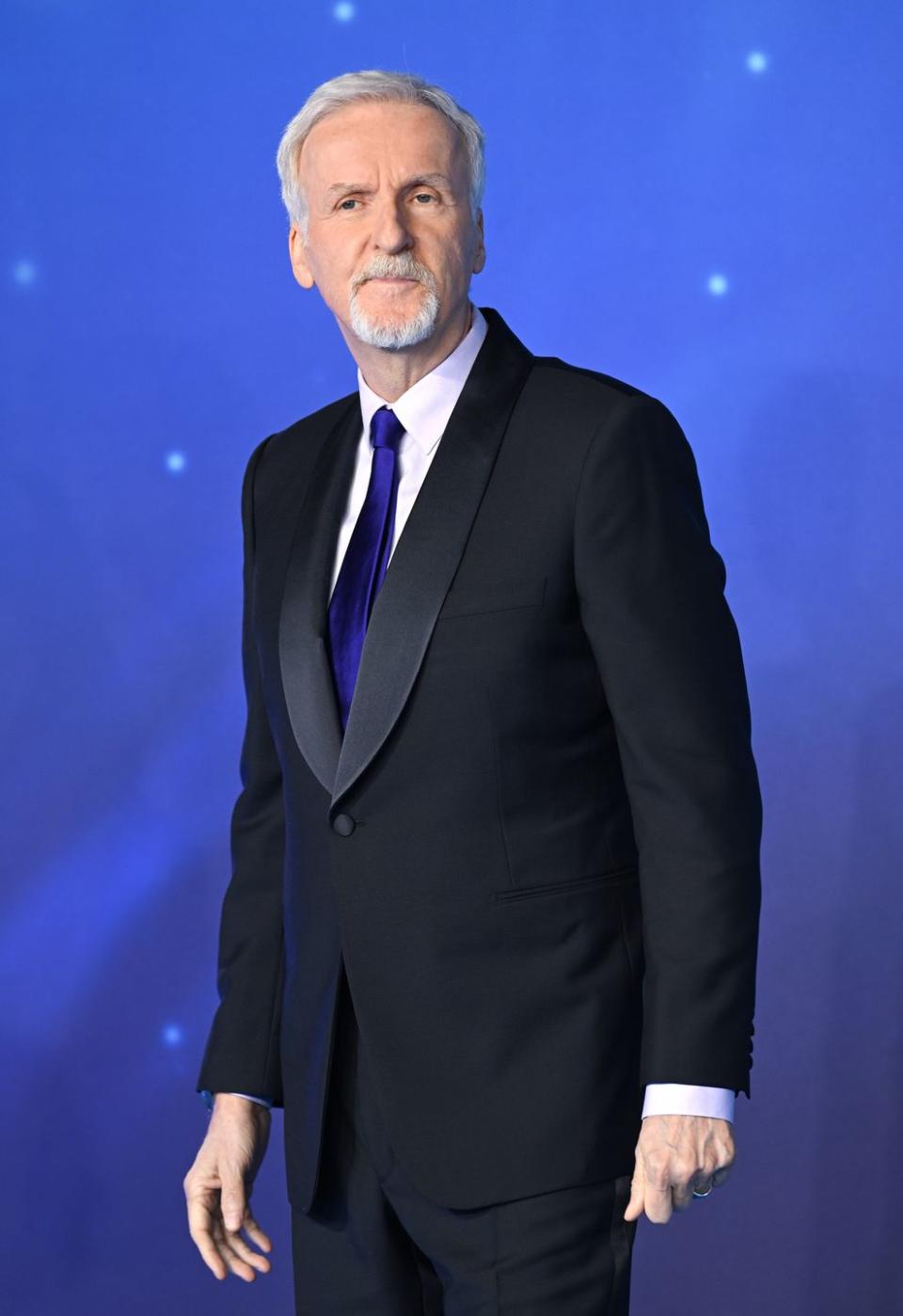 director james cameron attends the avatar the way of water world premiere at odeon luxe leicester square on december 06, 2022 in london, england photo by karwai tangwireimage