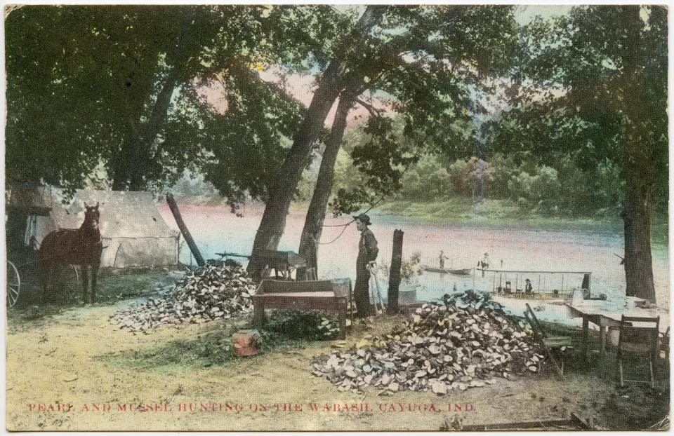A colorized postcard identifies this scene as "pearl and mussel hunting on the Wabash River." The photograph was taken near the western Indiana town of Cayuga in Vermillion County, circa 1910.