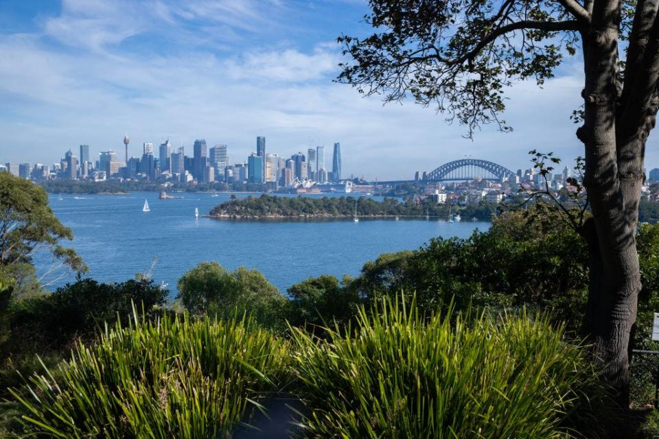 A photo of the Sydney Harbor.