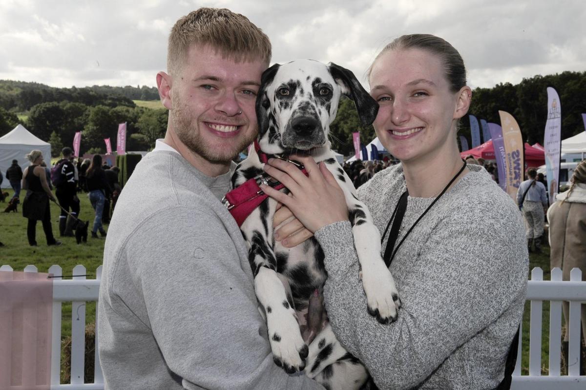 DogFest Leeds 2023 Best pictures as adorable dogs take over Harewood