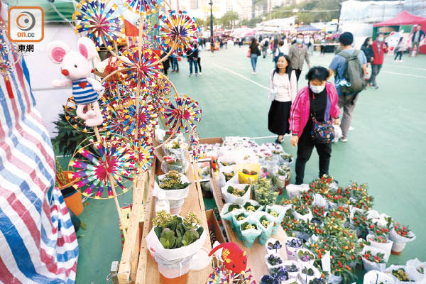 政府早前取消年宵花市又在短期內表示復辦，令花農及市民無所適從。