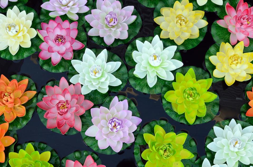 multicoloured plastic lotus flowers