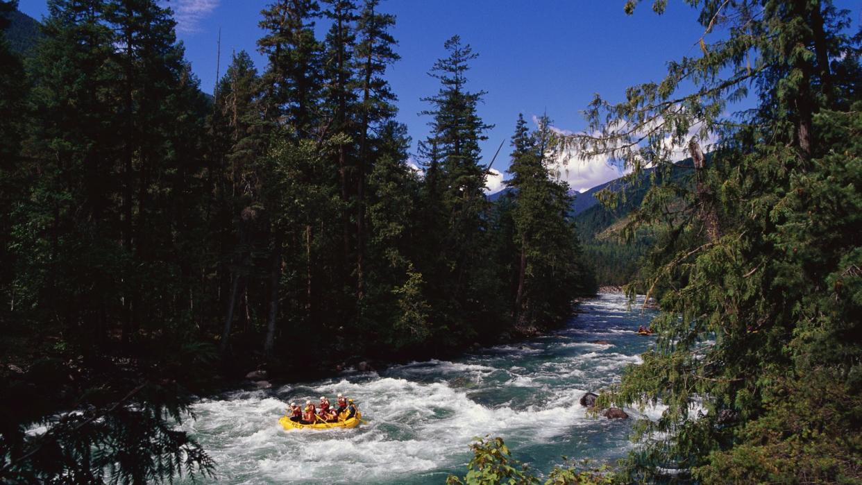  Rafters on a yellow inflatable boat paddle on the Nahatlatch River. 