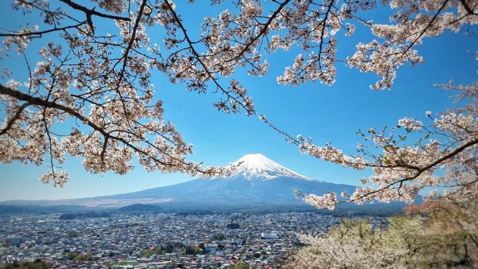 Mt. Fuji & Hakone Day Tour from Tokyo. (Photo: Klook SG)