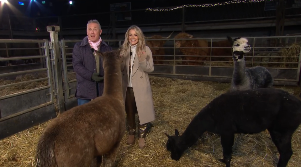 jules hudson and helen skelton standing with a group of alpacas while presenting christmas on the farm 2023