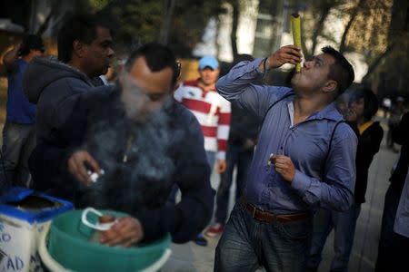 A man smokes a joint as another uses a water bottle bong during a rally to hand out information and collect signatures for marijuana legalization, outside the Senate building in Mexico City, in this January 22, 2014, file photo. REUTERS/Tomas Bravo/Files