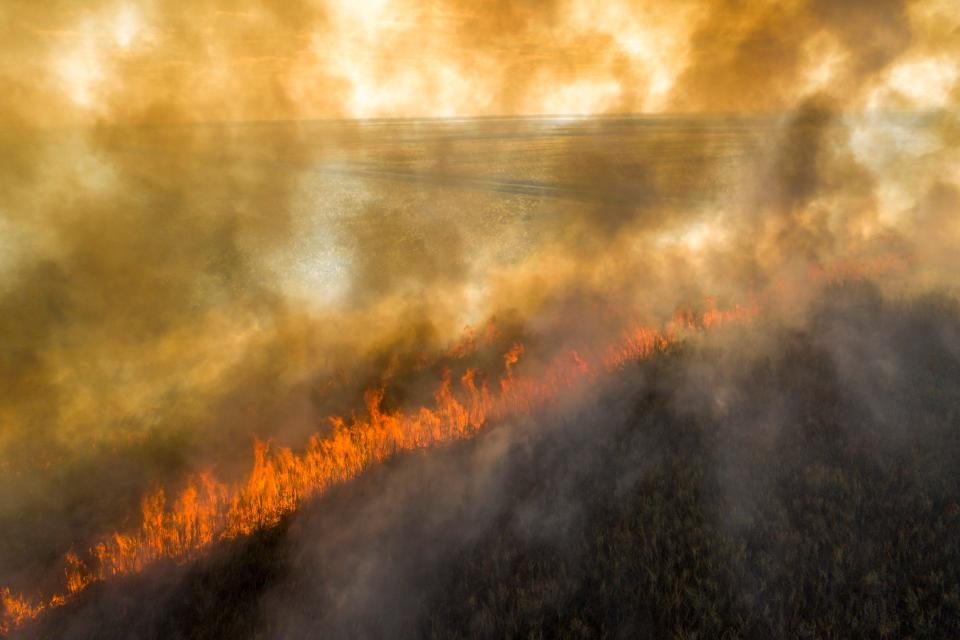 A sugar cane field burns before it is harvested in Okeelanta in January 2021. (Greg Lovett/The Palm Beach Post)