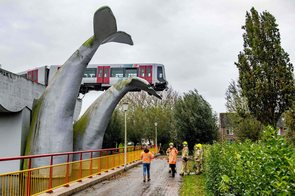 Metro train saved by whale sculpture in Netherlands (Robin Utrecht / AFP / Getty Images)