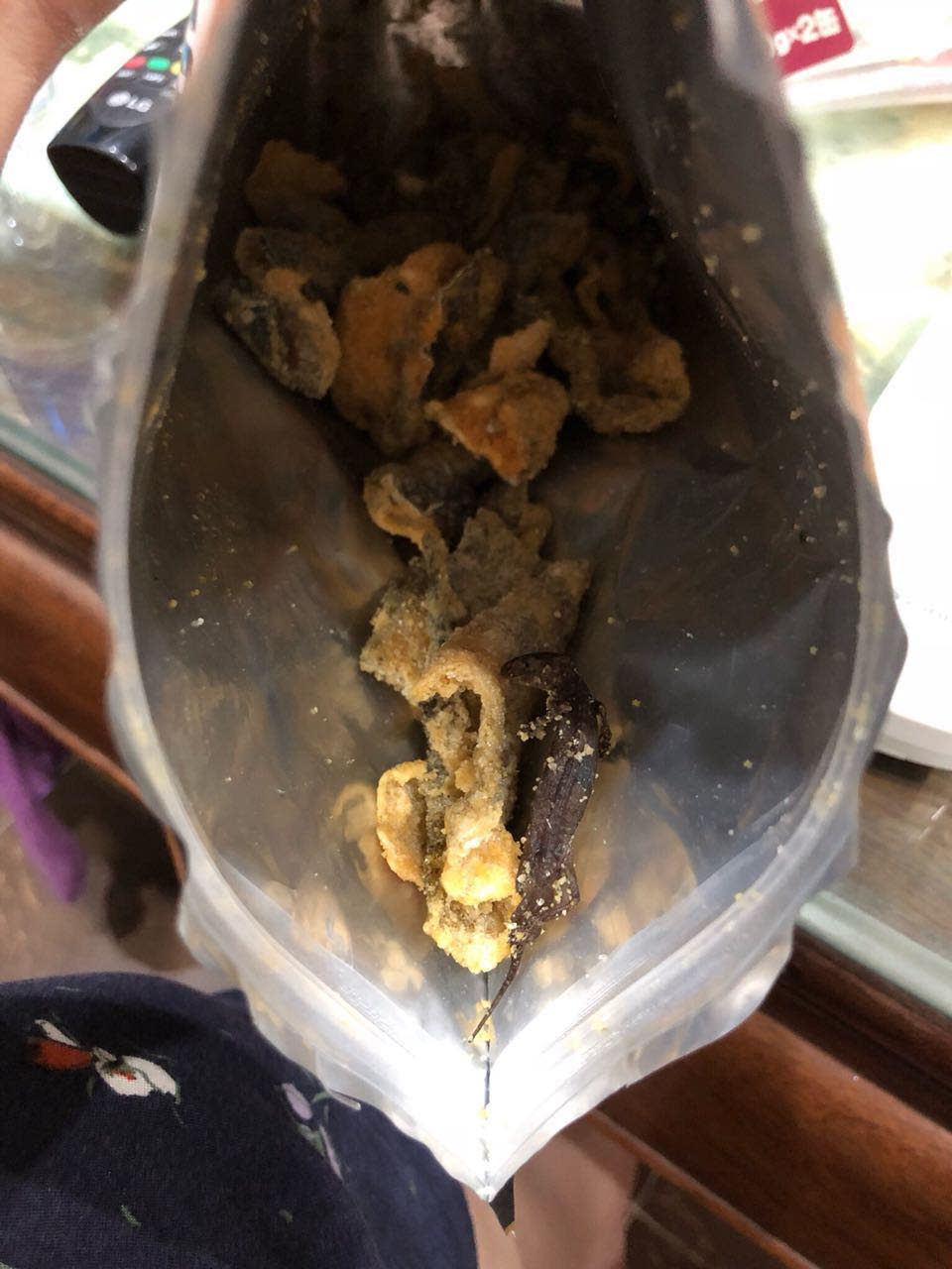 A dead gecko lizard found in a packet of Irvins Salted Egg fried fish skin snack product bought by Vietnamese Kevin Nguyen on 18 March 2018 at Changi Airport in Singapore. (PHOTO: Kevin Nguyen)