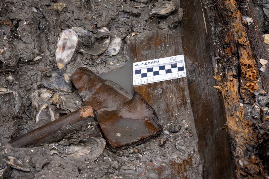 Artifacts found inside the wreck were mixed into the sediment and shells that buried it, as well as in a thin layer of mud that coated the hull. A wooden handle and the remains of a leather shoe are shown here as excavated. Credit: Daniel Fiore (SEARCH, Inc.) & Florida Department of Transportation, District Two.