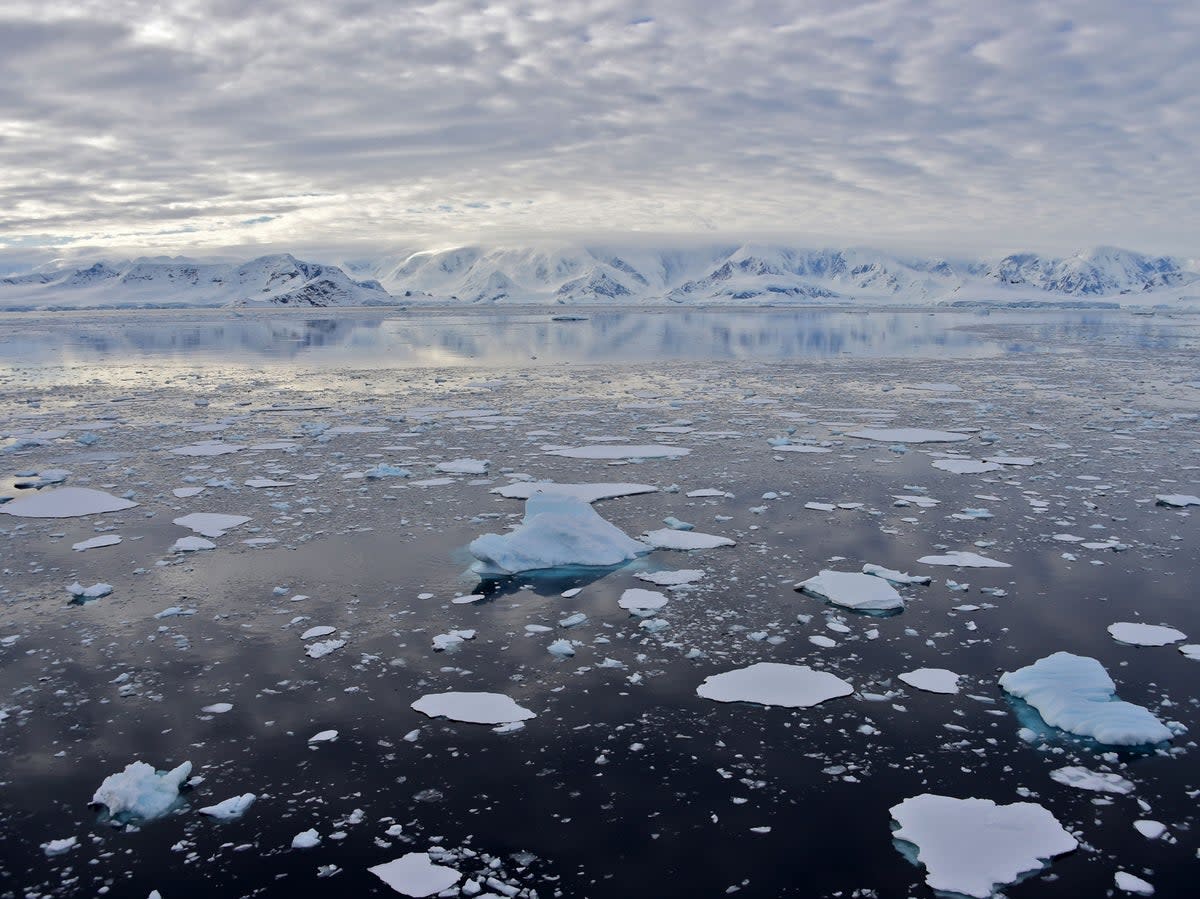 A glacier at Chiriguano Bay in South Shetland Islands (JOHAN ORDONEZ/AFP via Getty Images)
