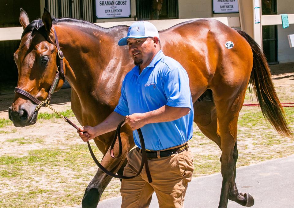 Ocala Breeders' Sales Company's 2022 Spring Sale of Two-Year-Olds in Training kicked off on April 19, with a bang when Hip #206 came up on the auction block, selling for $2.3 million.