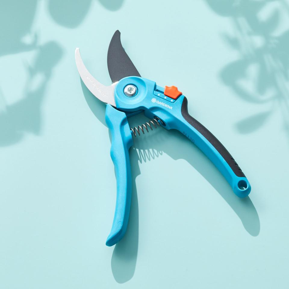 The Best Pruning Shears to Guarantee a Gorgeous Garden