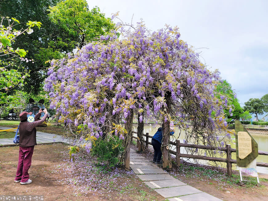 桃園｜大湖紀念公園