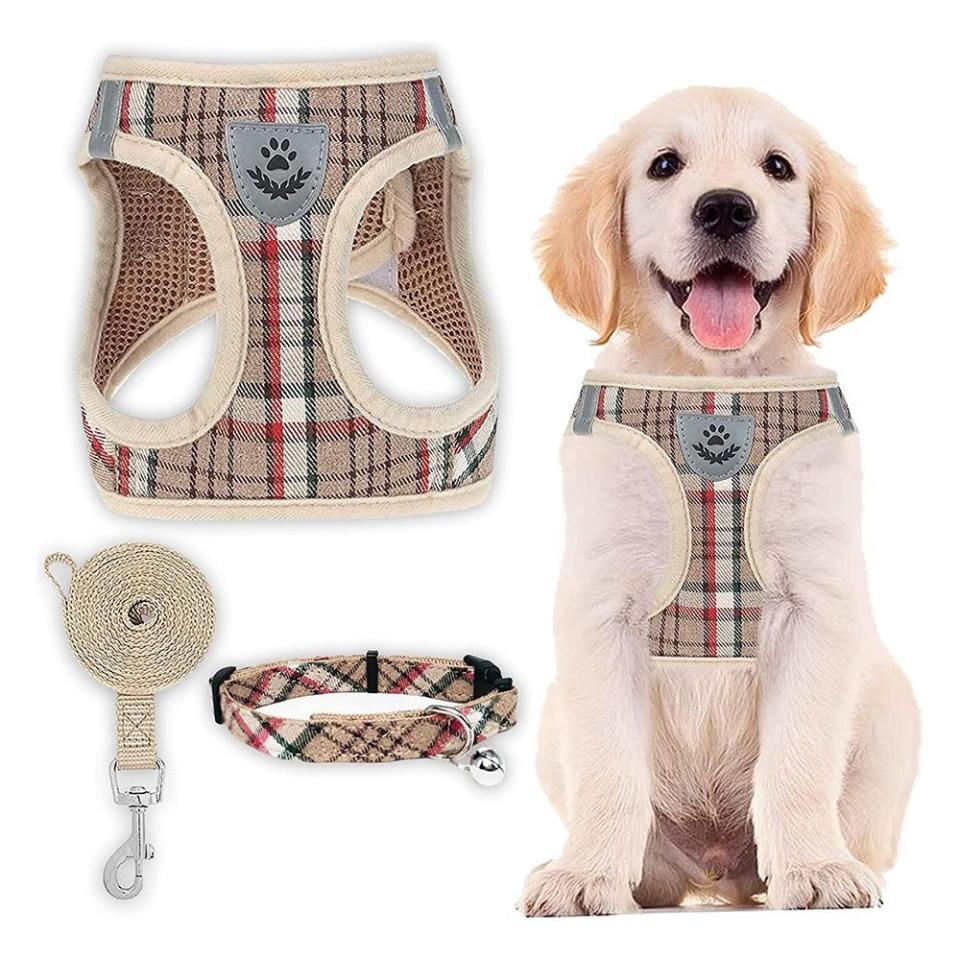 25)  Dog Accessory Set