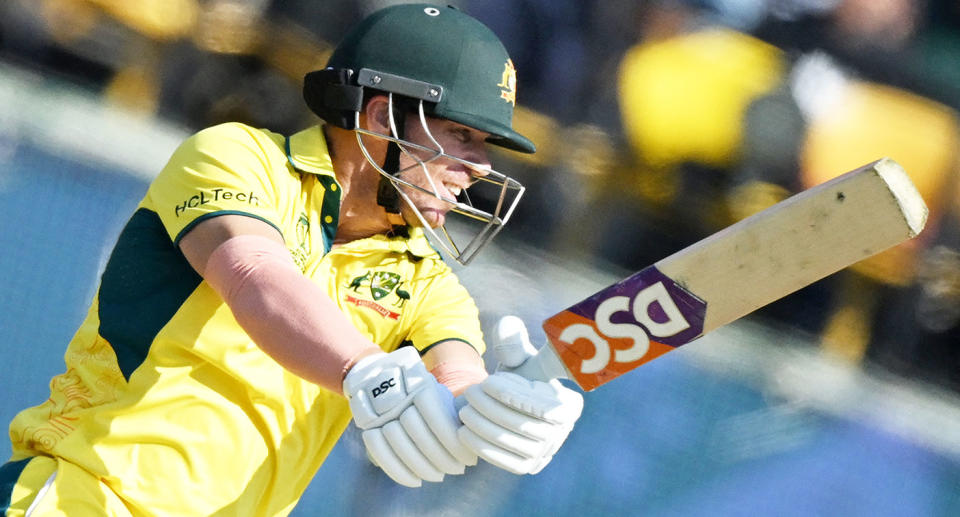 David Warner has been in superb form for Australia at the Cricket World Cup. Pic: Getty