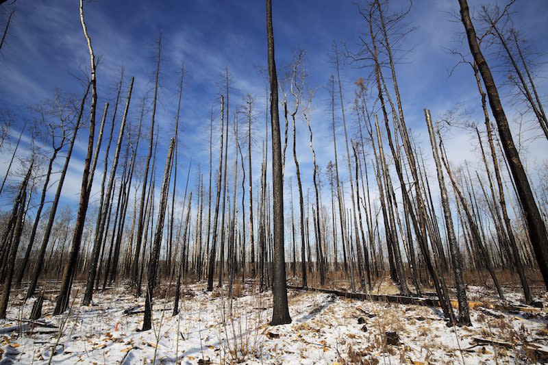 Looking back at Fort McMurray